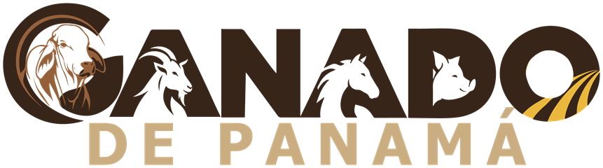 Ganado de Panamá